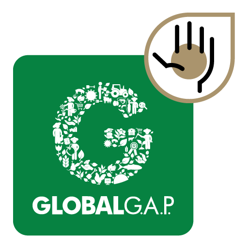 250331_GLOBALGAP_Lockup_Add-ons-GRASP_512x512px
